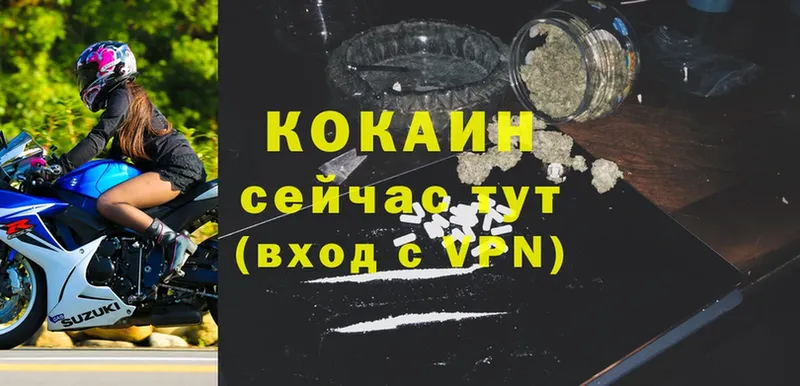 МЕГА   Старая Русса  COCAIN Fish Scale  где купить наркоту 